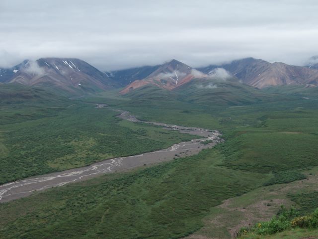 View from the Top of Polychrome Pass in Denali National Park