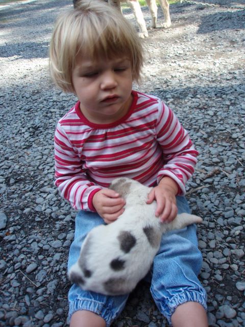 Cassidy Holding a 2 Week Old Sled Dog Puppy