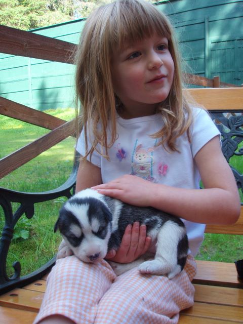 Danielle Holding a Two Week Old Sled Dog Puppy.