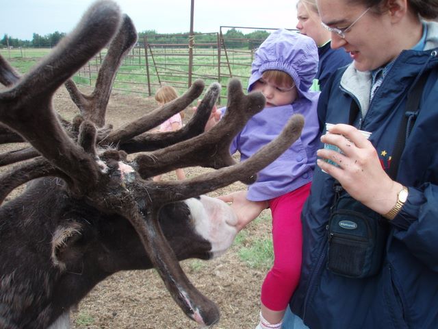 Barb Holding Cassidy at the Reindeer Farm