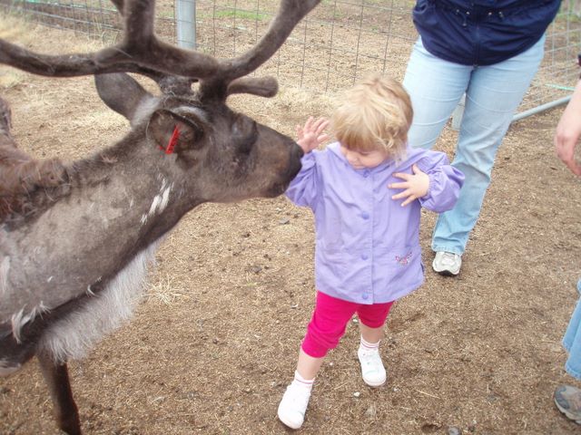 Cassidy Wanting the Reindeer to Leave Her Alone